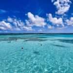 3-Hours Eye-Opening Stingray City Antigua - Transfer R/T included - Final Thoughts