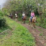 3 Hours Horseback Riding from Nature Trails to Sofa Stone - A Detailed Look at the Horseback Riding Tour in St. Kitts