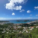 3 Hours Luxury Mercedes Van Tour in Saint Thomas - Who Should Consider This Tour?