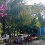 3 Hours Panoramic Tour in Punta Cana with Artisan Market - FAQ