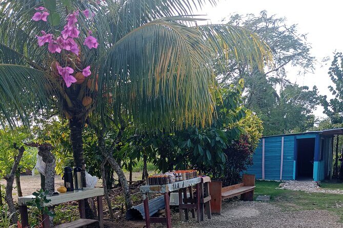 3 Hours Panoramic Tour in Punta Cana with Artisan Market - FAQ