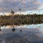 3 Hours Private Piranha Fishing in Lake Yacumama - The Itinerary: What You Can Expect