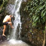 3 Hours Rainforest Group Walk with Lunch - The Sum Up