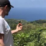 3 Hours Rainforest Walk in Tobago (Private) Lunch + Hummingbirds - Who Will Love This Tour?