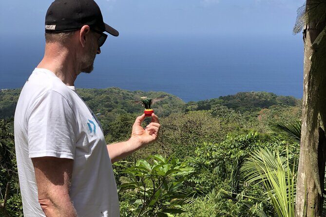3 Hours Rainforest Walk in Tobago (Private) Lunch + Hummingbirds - Who Will Love This Tour?
