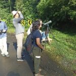 3 Hours Uvita Bird Watching Oro Verde - Final Thoughts: Why This Tour Is a Bird Lover’s Dream