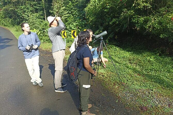 3 Hours Uvita Bird Watching Oro Verde - Final Thoughts: Why This Tour Is a Bird Lover’s Dream