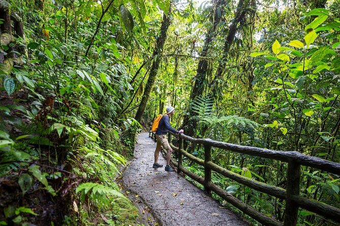 3 in 1 Eco Tour Rain Forest Aerial Tram, River Cruise & Nature Walk Private Tour - Who Will Love This Tour?