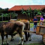 3-in-1 Monteverde Cloud Forest Coffee, Chocolate and Sugar Cane Tour - Concluding Thoughts