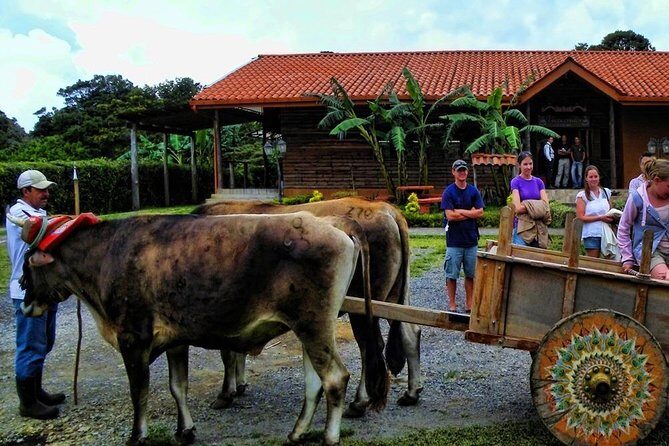 3-in-1 Monteverde Cloud Forest Coffee, Chocolate and Sugar Cane Tour - Concluding Thoughts