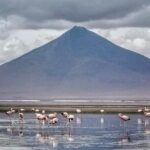 3D 2N Uyuni Salt Flats by flight from La Paz to Atacama, Chile - Why This Tour Offers Great Value
