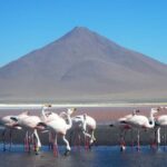 3D and 2N Tour Salar Uyuni ending in Atacama Chile - Practical Considerations