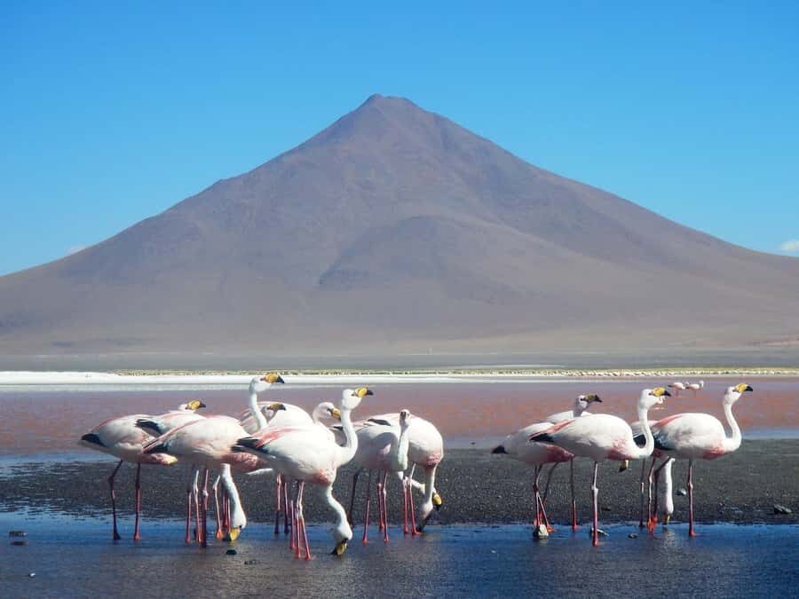 3D and 2N Tour Salar Uyuni ending in Atacama Chile - Practical Considerations