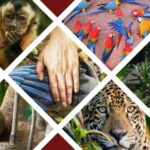 3D Eco Magic Ecoamazon Lodge Puerto Maldonado - Tambopata - Final Thoughts