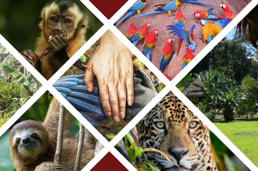 3D Eco Magic Ecoamazon Lodge Puerto Maldonado - Tambopata - Final Thoughts