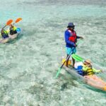 3HR Clear Kayak Mangrove and iguana island Tour in Leeward - FAQ