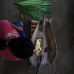 4-Day All-Inclusive Amazon Adventure: Explore Napo's Rainforest - What Makes This Tour Stand Out?