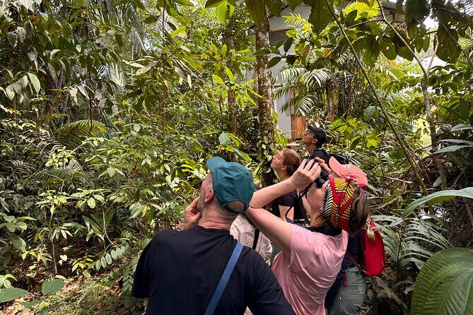 4 Day All Inclusive Amazon Jungle Adventure, transfer from Quito - Honest Insights: What Works and What Might Not