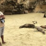 4-Day Galapagos Experience: Los Tuneles, Bay Tour + extra night - FAQs