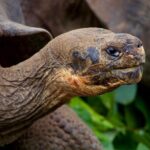 4-day Galapagos on a Budget Experience - A Closer Look at the 4-Day Galapagos Experience
