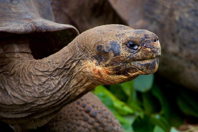 4-day Galapagos on a Budget Experience - A Closer Look at the 4-Day Galapagos Experience