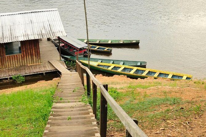 4-Day Manaus Amazon Jungle Adventure - Transportation, Accommodation, and Meals