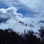 4-Day Manu Jungle Trip from Cusco - Day 2: Into the Heart of the Jungle