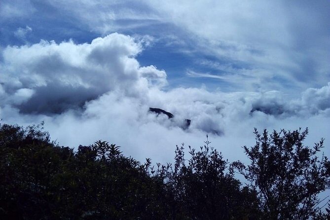 4-Day Manu Jungle Trip from Cusco - Day 2: Into the Heart of the Jungle