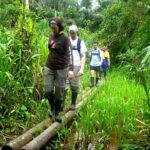 4-Day Private Tour to Manu National Park from Cusco - Final Thoughts: Who Should Consider This Tour?