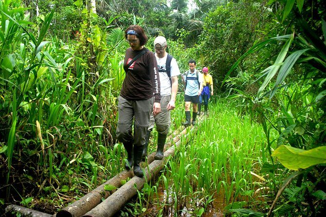 4-Day Private Tour to Manu National Park from Cusco - Final Thoughts: Who Should Consider This Tour?