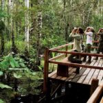 4-Day Tambopata National Reserve  Tambopata Peru Tours - What Makes This Tour Stand Out?