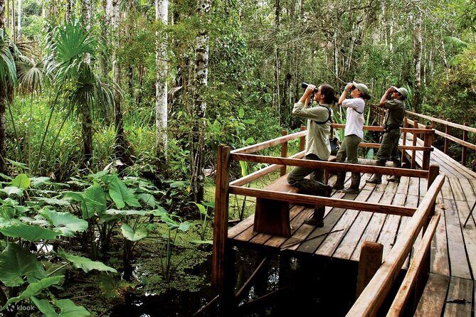 4-Day Tambopata National Reserve  Tambopata Peru Tours - What Makes This Tour Stand Out?