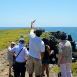 4-Day Wildlife Tour in Santa Cruz Island - Final Thoughts: Is It Worth It?