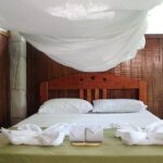 4 days 3 nights  Peruvian Tambopata Jungle - Practical Details and Tips