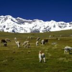 4 Days Ausangate Trek with Rainbow Mountain - Who Will Love This Tour?