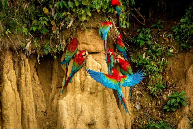 4 Days Manu Park Tour - What Makes This Tour Stand Out?