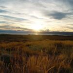 4-Days Trekking Fitz Roy & Camping at El Chalten - What Makes This Tour Stand Out