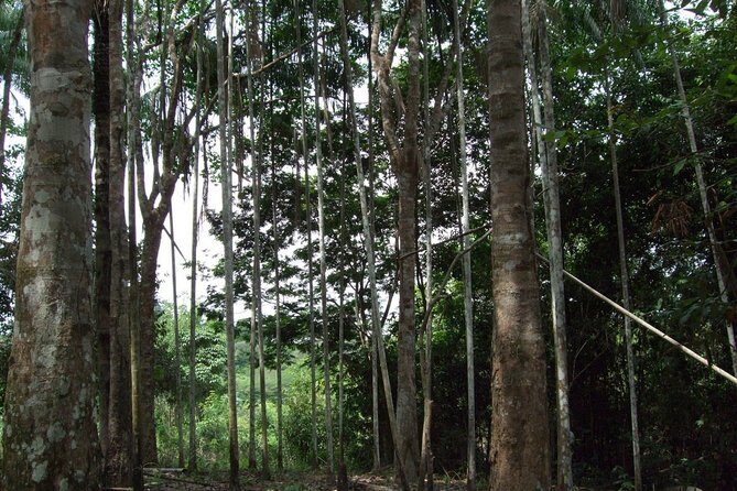 4-Days Unique Experience at Amazon Lodge, immersion on a Jungle Adventure - Frequently Asked Questions