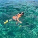 4-Hour Catamaran Party Cruise with Open Bar from Montego Bay - Final Thoughts