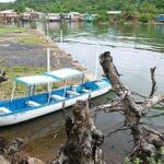 4-Hour East Side Roatan Private Guided Tour with Canoe Ride - FAQs about the 4-Hour East Side Roatan Private Guided Tour with Canoe Ride