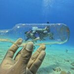4 Hour Private Activity, Two Tank Diving in San Andres - An In-Depth Look at the 4-Hour Private Two-Tank Diving Experience