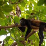 4-Hour Private Guided ATV Tour in Costa Rica - What to Keep in Mind