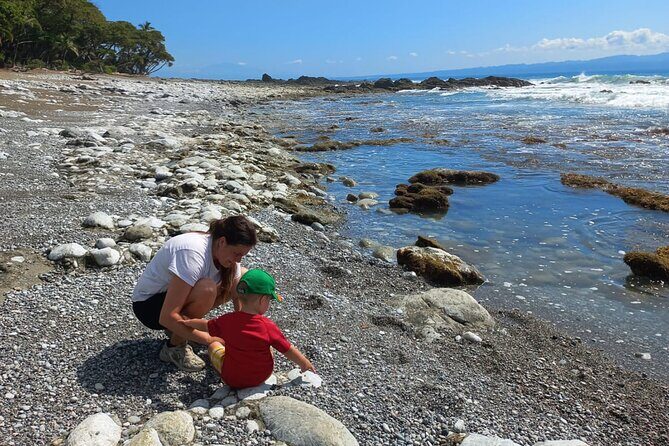 4 Hour Private Guided Tour in Osa Jungle - Who Should Book This Tour?