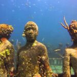 4-hour snorkel cruise to Underwater Sculptures with boat dogs - Who Will Love This Tour?
