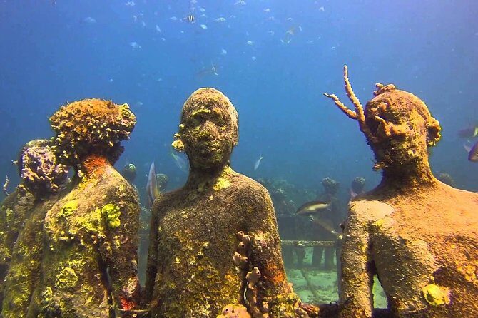 4-hour snorkel cruise to Underwater Sculptures with boat dogs - Who Will Love This Tour?
