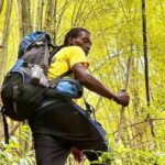 4-Hours Bike, Hike & Waterfall Tour in Blue Mountain with Lunch and Pick Up - Who Will Love This Tour?