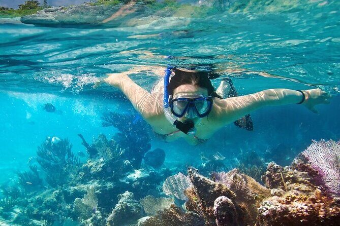 4 Hours Private Tour with Snorkel Experience in Roatan - Frequently Asked Questions