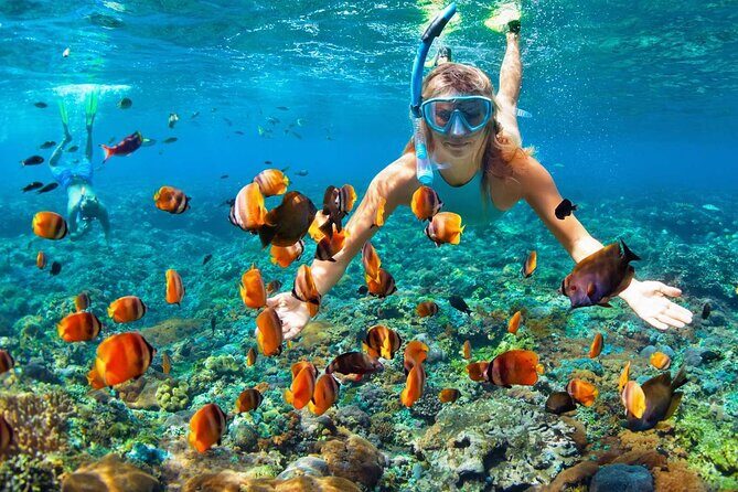 4 Hours Private Tour with Snorkeling and West Bay Beach Break - Why Choose This Tour?