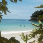 (4 person minimum to book) Whale Watching (July 15 to Oct.15) in Isla Bolanos - Final Thoughts