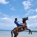 45 Minutes Horse Back Riding in Montego Bay - An Authentic Beach Horseback Ride in Montego Bay